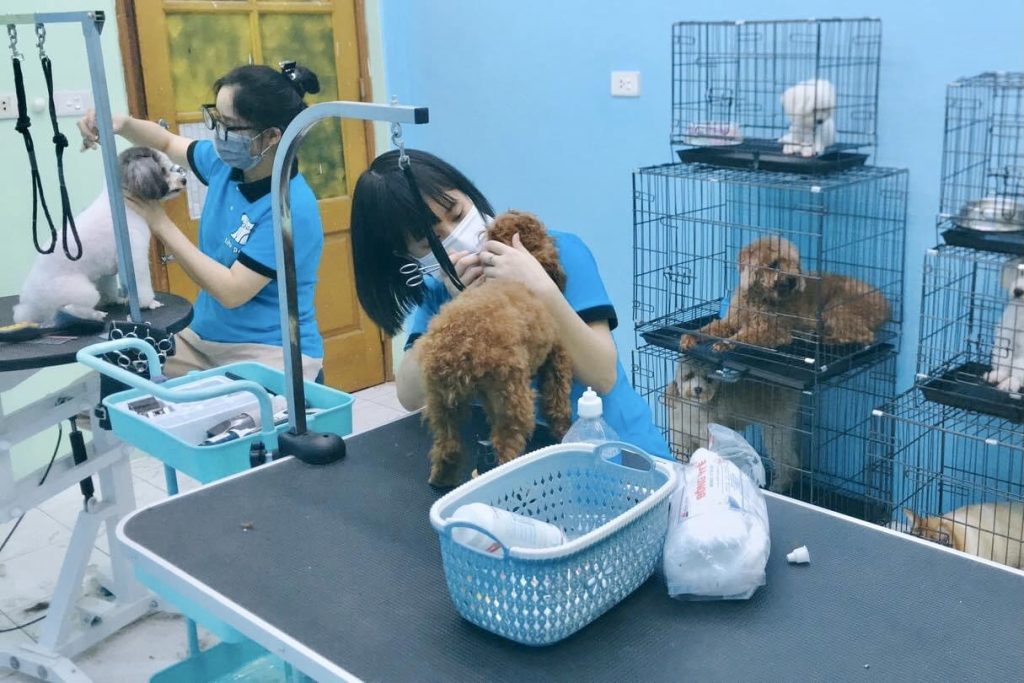 Happy Pet in Phú Mỹ Hưng