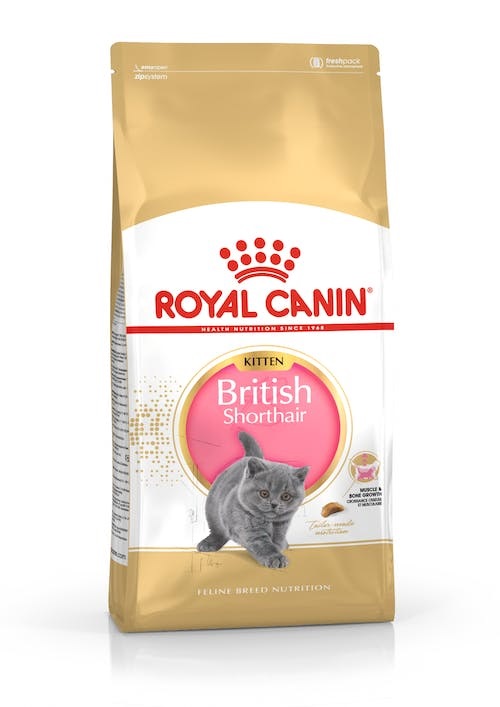 2kg Royal Canin British ShortHair Kitten